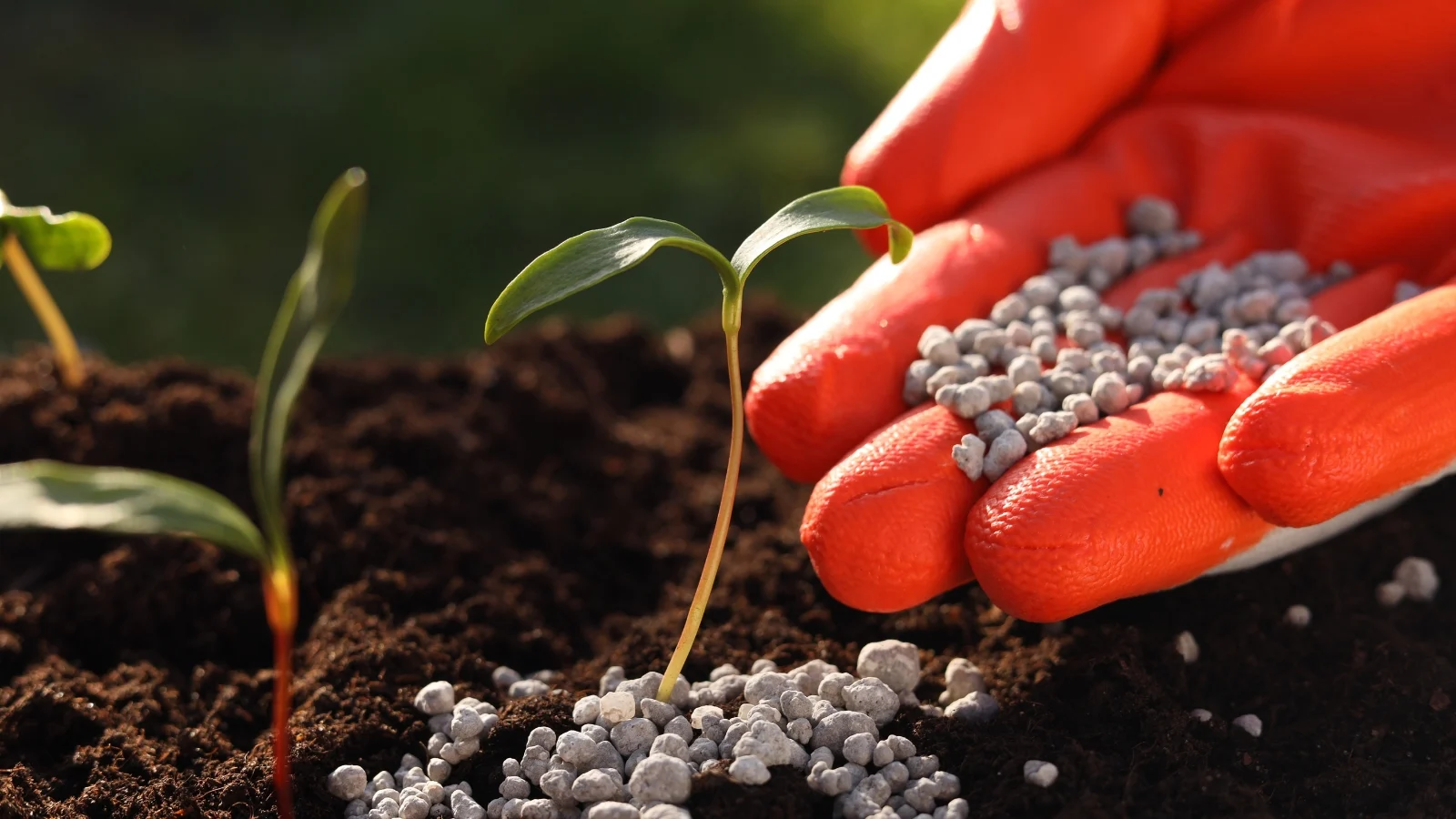 npk fertilizers for sale